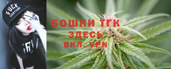 твердый Надым