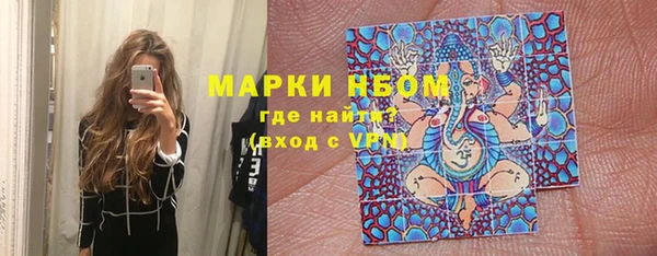 хмурый Нея
