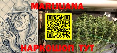 скорость Кингисепп