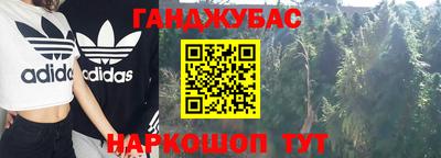 скорость Кингисепп