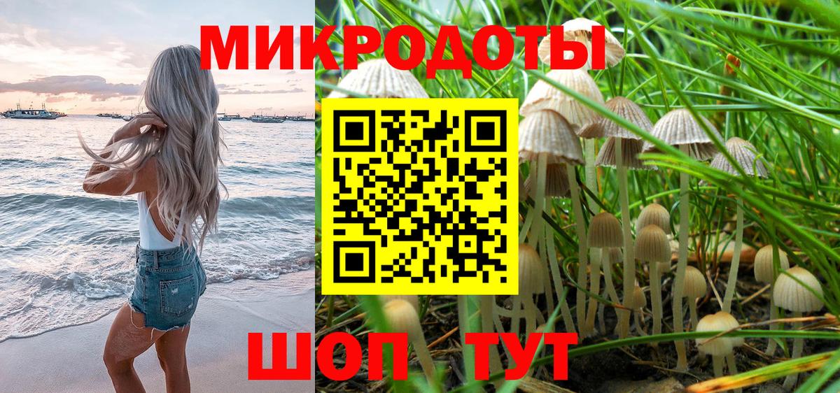 Галлюциногенные грибы прущие грибы Осинники