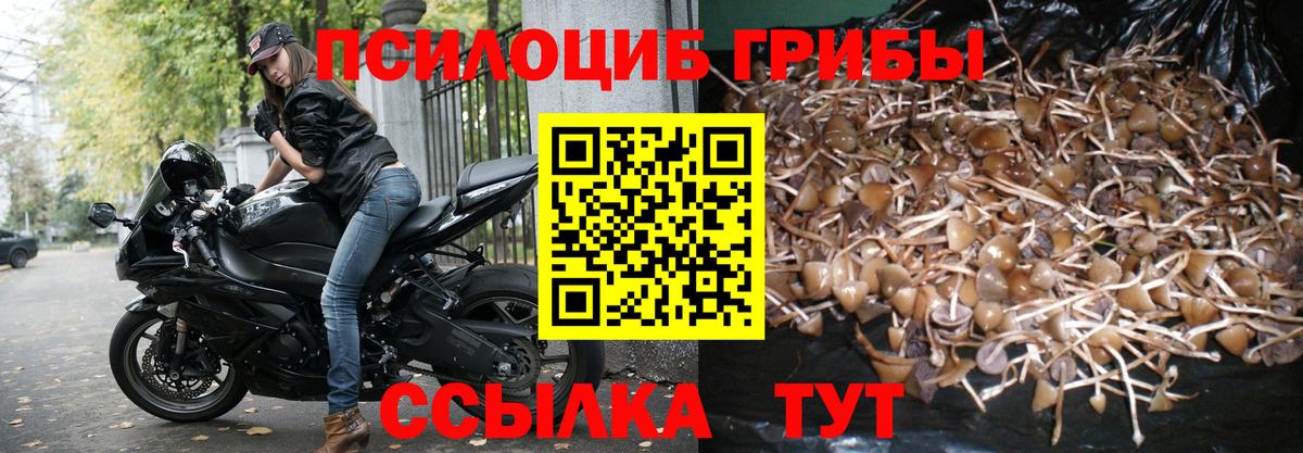 Псилоцибиновые грибы MAGIC MUSHROOMS  Вход с VPN  Осинники 