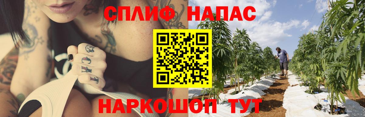 Марихуана MAZAR  Вход с VPN  Марихуана индика  Конопля Bruce Banner  Осинники 